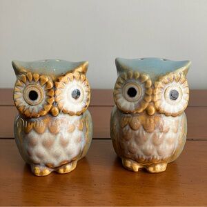 Ceramic Owl Salt & Pepper Shaker Set | Whimsical Kitchen Decor